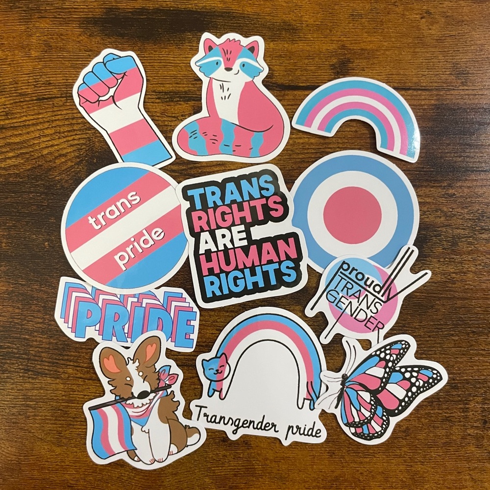 10Pc Trans Pride Sticker Set